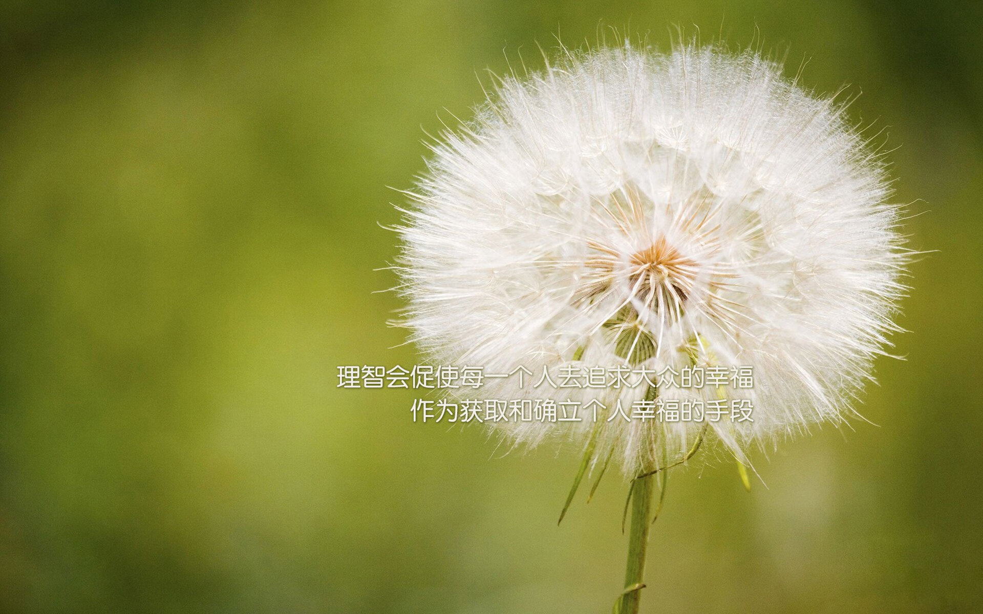支持女运动员：台球中的性别平等发展，打台球的女运动员