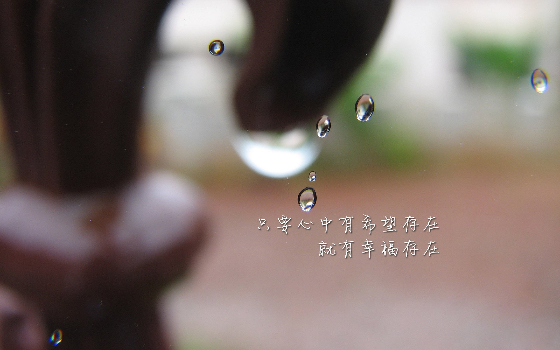 沙尔克主教练承担责任，不惧困境，沙尔克球队怎么样