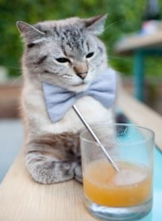 kaiyun中国官方网站-中国足球职业俱乐部制定队医等级认证机制，足球队医什么水平