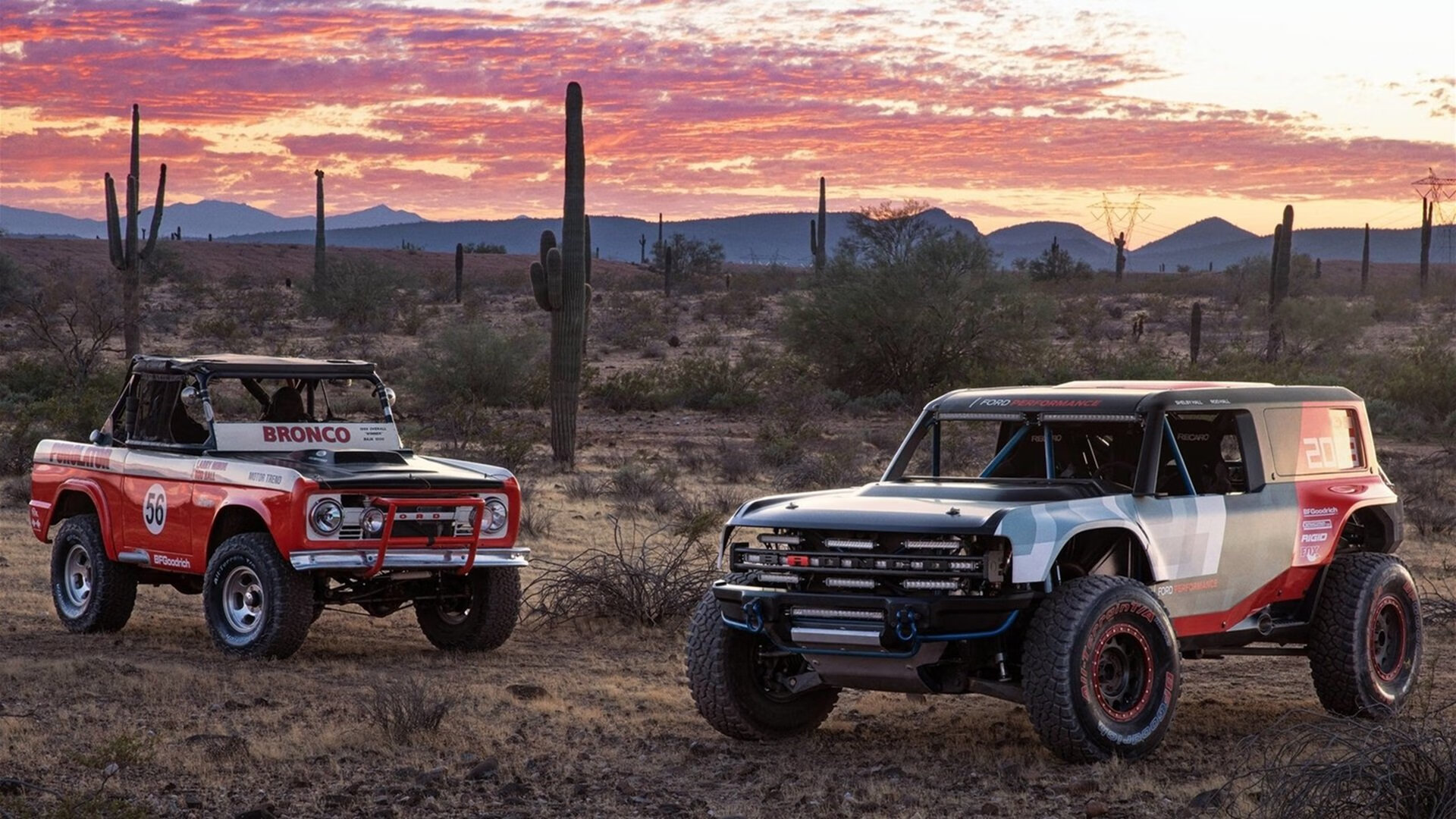 新西兰橄榄球的青少年赛事逐步成熟，吸引更多年轻球员，新西兰超级橄榄球联赛