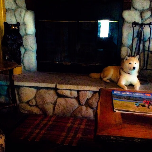 美洲杯疯狂比赛:逆境中勇敢拼搏和明星崛起,美洲杯2021全部比赛视频